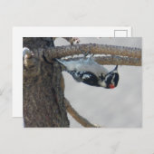 ハンギンアウトバイレスリーピーパーズ ポストカード (正面/裏面)