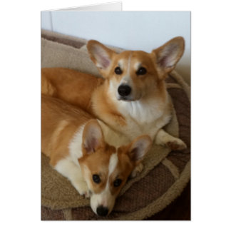 ハンクおよびMilly