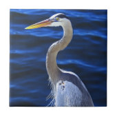 ハンク鷲 タイル (正面)