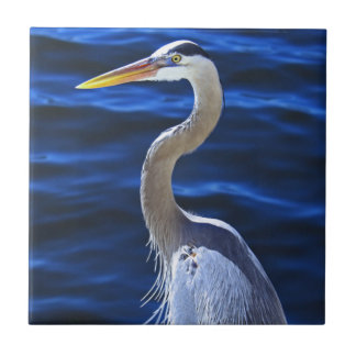 ハンク鷲 タイル