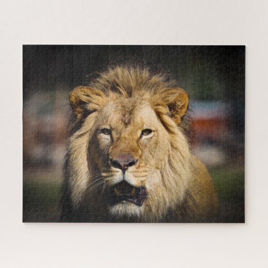 ハングリーライオンパズル ジグソーパズル (横)