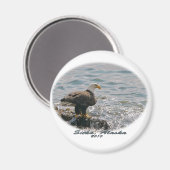 ハングルイーグルオンビーチ マグネット (正面/裏面)