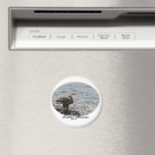 ハングルイーグルオンビーチ マグネット (インサイチュ (食洗機))