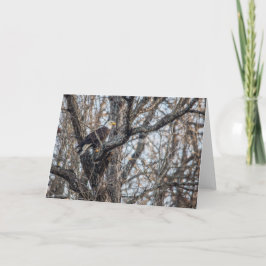 ハングルイーグルオン狩り カード