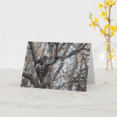 ハングルイーグルオン狩り カード (黄色い花)