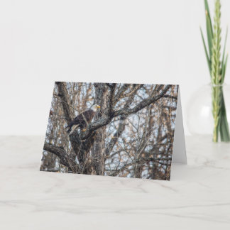 ハングルイーグルオン狩り カード