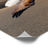 ハングルイーグルオーバーオリンピックマウンテンサンセットファインアート ポスター (角)