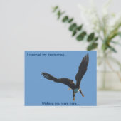 ハングルイーグルフライトコレクションII ポストカード (スタンド正面)