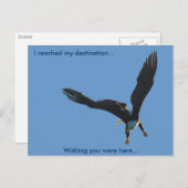 ハングルイーグルフライトコレクションII ポストカード (正面/裏面)