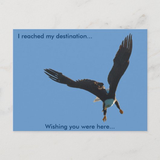 ハングルイーグルフライトコレクションII ポストカード (正面)