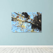 ハングルイーグルペアアットネスト キャンバスプリント (インサイチュ (ウッドフロア))