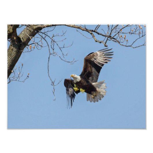 ハングルイーグル建物用品 フォトプリント            (正面)