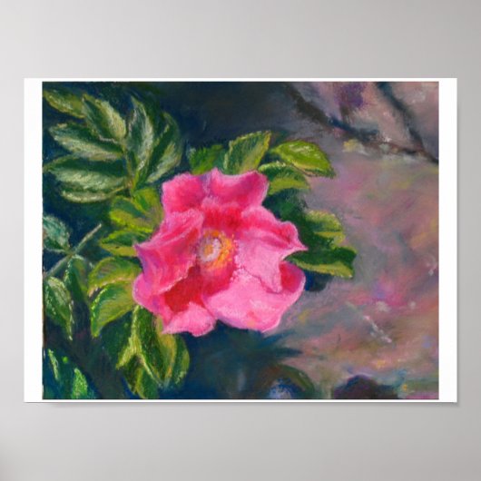 ハンサショアバラ ポスター (正面)