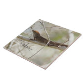 ハンサムなアノールリザードタイル タイル (側面)