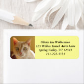 ハンサムなオレンジ色の猫#2 ラベル (インサイチュ)