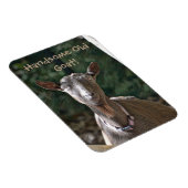 ハンサムなオールドヤギ マグネット (右側)