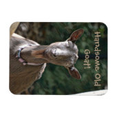 ハンサムなオールドヤギ マグネット (横)