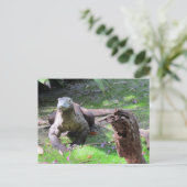 ハンサムなコモド龍はがき ポストカード (スタンド正面)