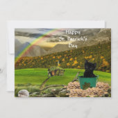 ハンサムなジャック猫の聖パトリックの日 (正面)