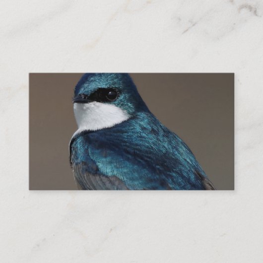 ハンサムなツバメ：針金に鳥 名刺 (正面)