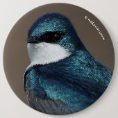 ハンサムなツバメ：針金に鳥 缶バッジ (正面)