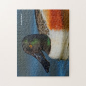 ハンサムなノーザンショベルのアヒルのクローズアップ ジグソーパズル (縦)