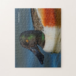 ハンサムなノーザンショベルのアヒルのクローズアップ ジグソーパズル