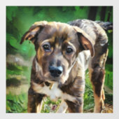 ハンサムなハスキーミックス子犬のウィンドウにしがみつく ウィンドウサイン (シート)