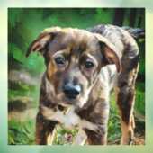 ハンサムなハスキーミックス子犬のウィンドウにしがみつく ウィンドウサイン (シート3)