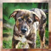 ハンサムなハスキーミックス子犬のウィンドウにしがみつく ウィンドウサイン (シート2)