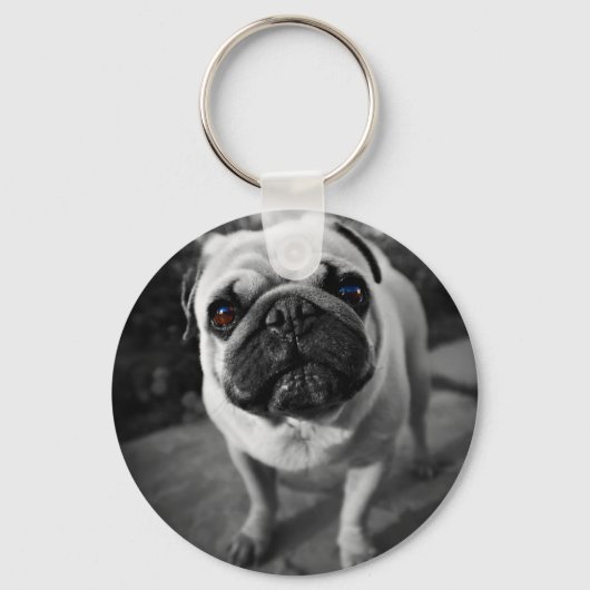 ハンサムなパグ キーホルダー (正面)