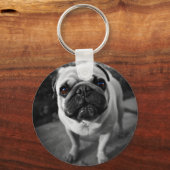 ハンサムなパグ キーホルダー (正面)