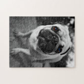 ハンサムなパグ ジグソーパズル (横)