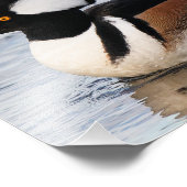 ハンサムなフード付きメルガンザーが動き出す フォトプリント            (角)