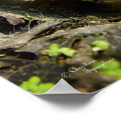 ハンサムなブルカエルのポスターまたはプリント ポスター (角)