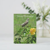 ハンサムなモッキンバードハガキ ポストカード (スタンド正面)