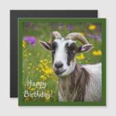 ハンサムなヤギ (正面/裏面)