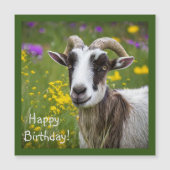 ハンサムなヤギ (正面)