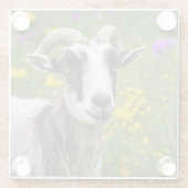 ハンサムなヤギ ガラスコースター (裏面)