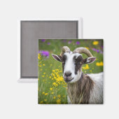 ハンサムなヤギ マグネット (正面/裏面)