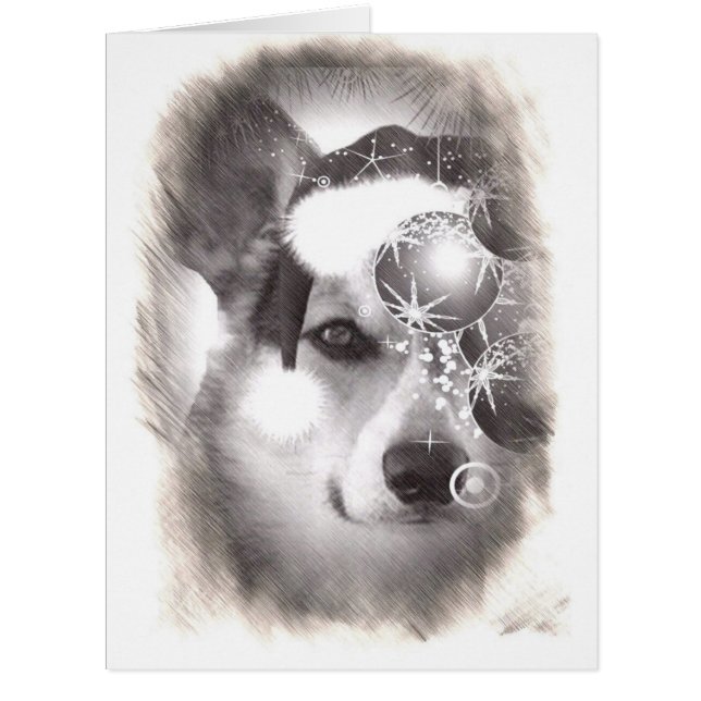 ハンサムな三色のクリスマスのコーギー (正面)