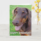 ハンサムな微笑の赤いドーベルマン犬 カード (黄色い花)