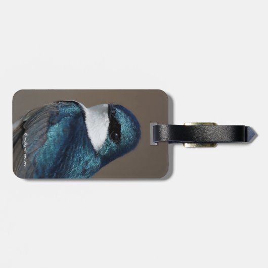 ハンサムな木ツバメ松の鳥をワイヤーに ラゲッジタグ (裏面横)