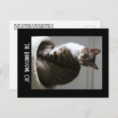 ハンサムな猫はがきを書く ポストカード (正面/裏面)