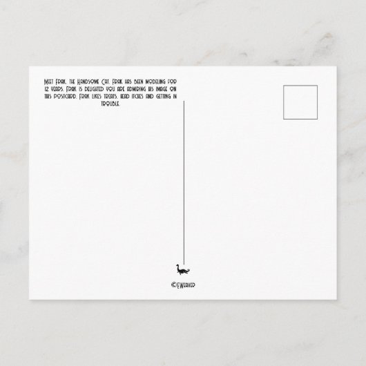 ハンサムな猫はがきを書く ポストカード (裏面)