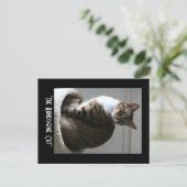 ハンサムな猫はがきを書く ポストカード (スタンド正面)