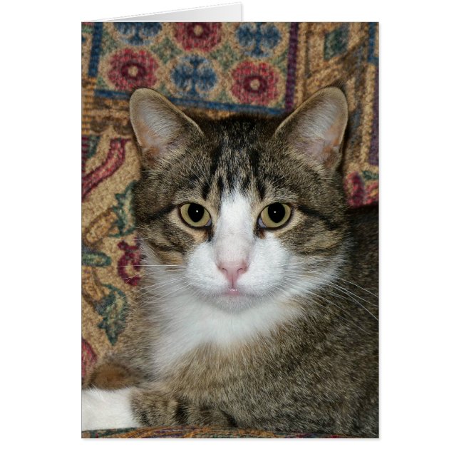 ハンサムな男 (正面)