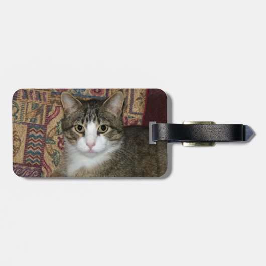 ハンサムな男 ラゲッジタグ (裏面横)