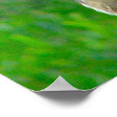 ハンサムな納屋フクロウ ポスター (角)