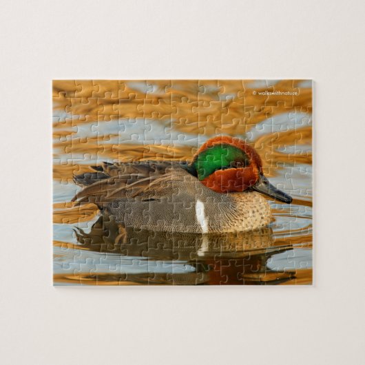ハンサムな緑の翼を持つティール(緑がかった色)のアヒルオンゴールデンポンド ジグソーパズル (横)